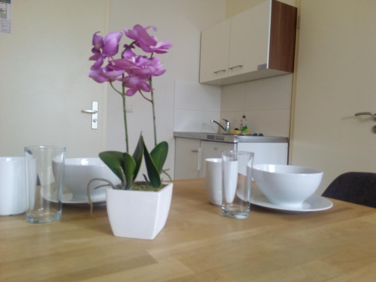 Apartmentpension Am Stadtschloss Postupim Exteriér fotografie
